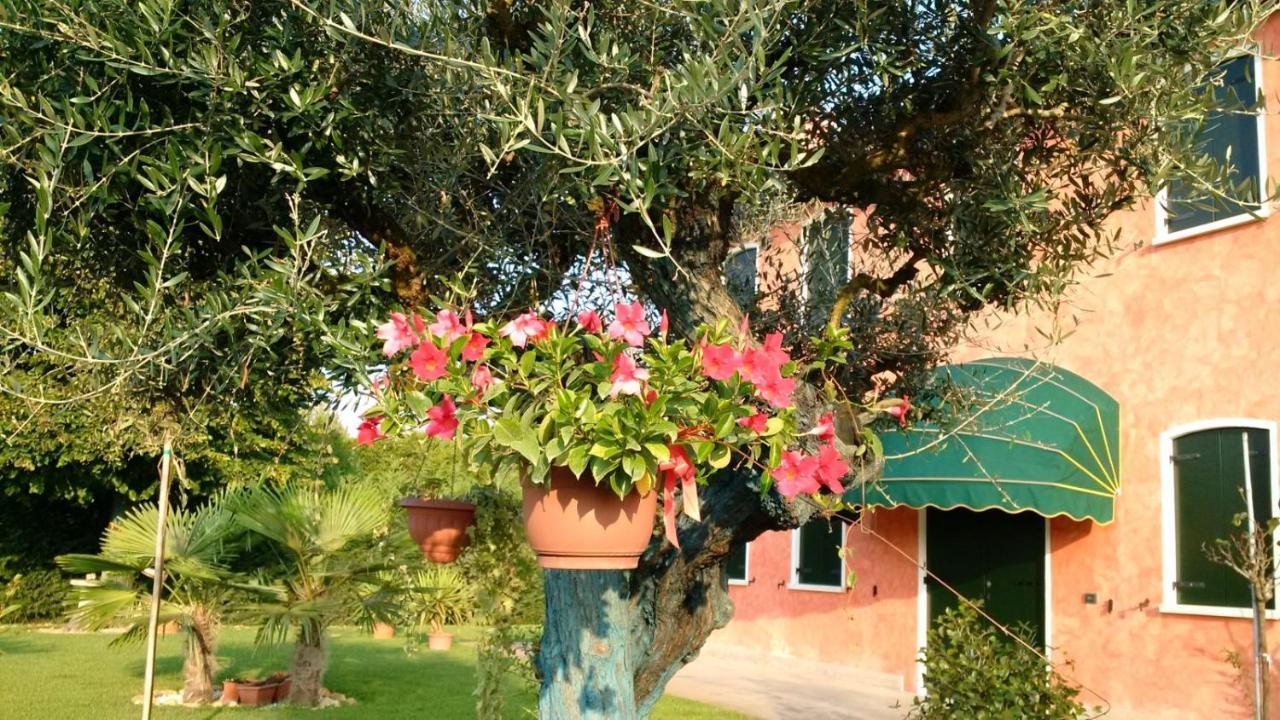 Il Farfasole Vigonovo (Veneto) Exterior foto