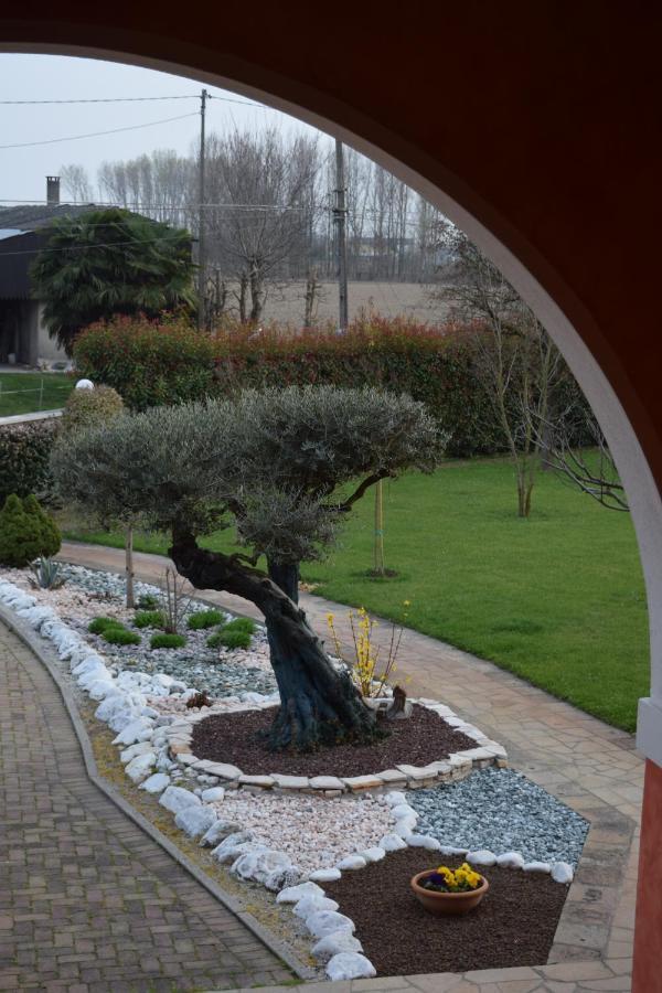 Il Farfasole Vigonovo (Veneto) Exterior foto