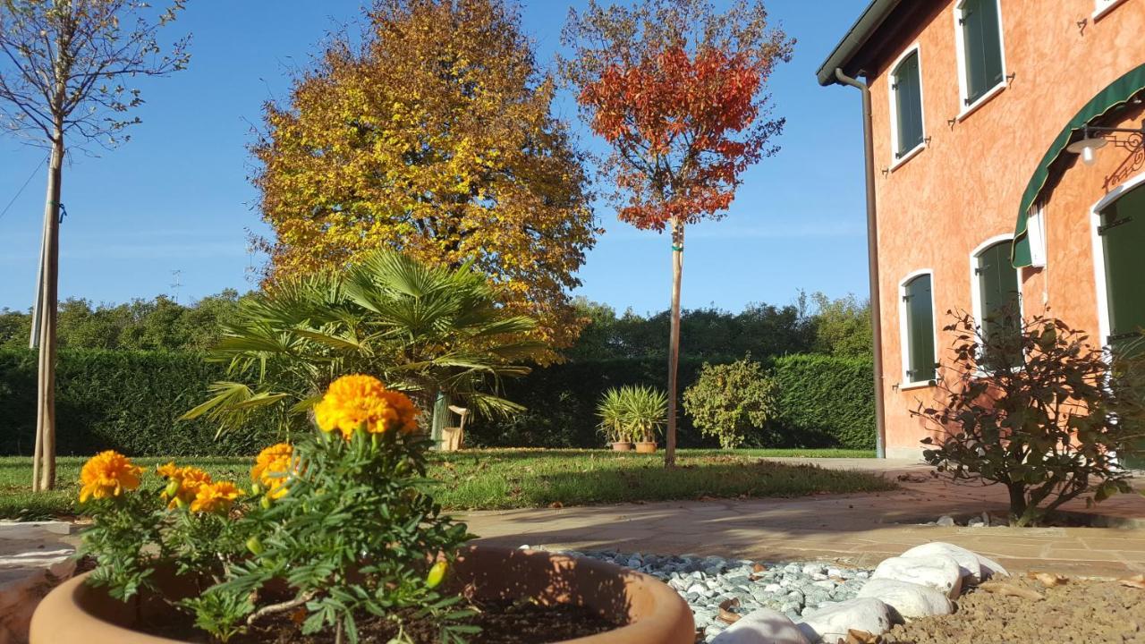 Il Farfasole Vigonovo (Veneto) Exterior foto